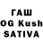 Конопля White Widow Israfil Damirov