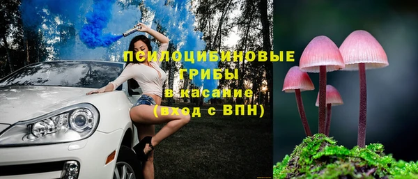 ешки Абаза