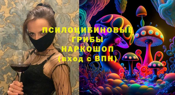 крисы Алексин