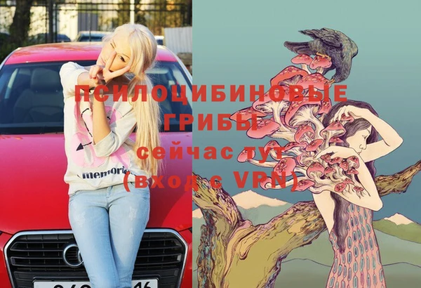 ешки Алзамай