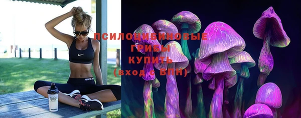 крисы Алексин