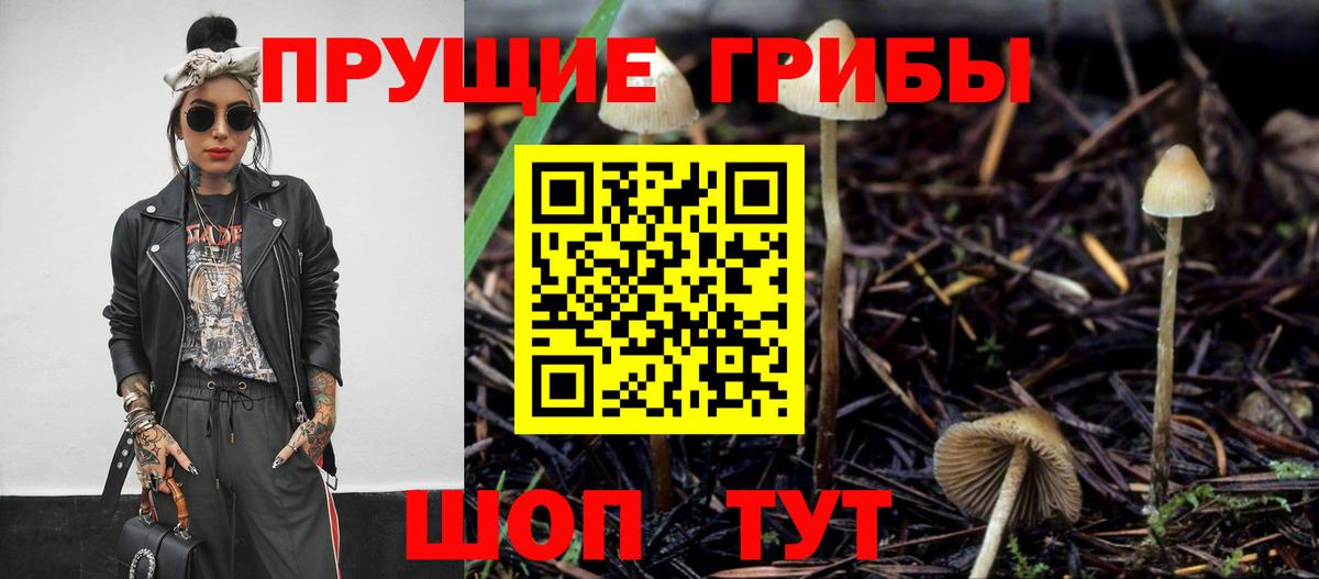 Галлюциногенные грибы прущие грибы Богородицк