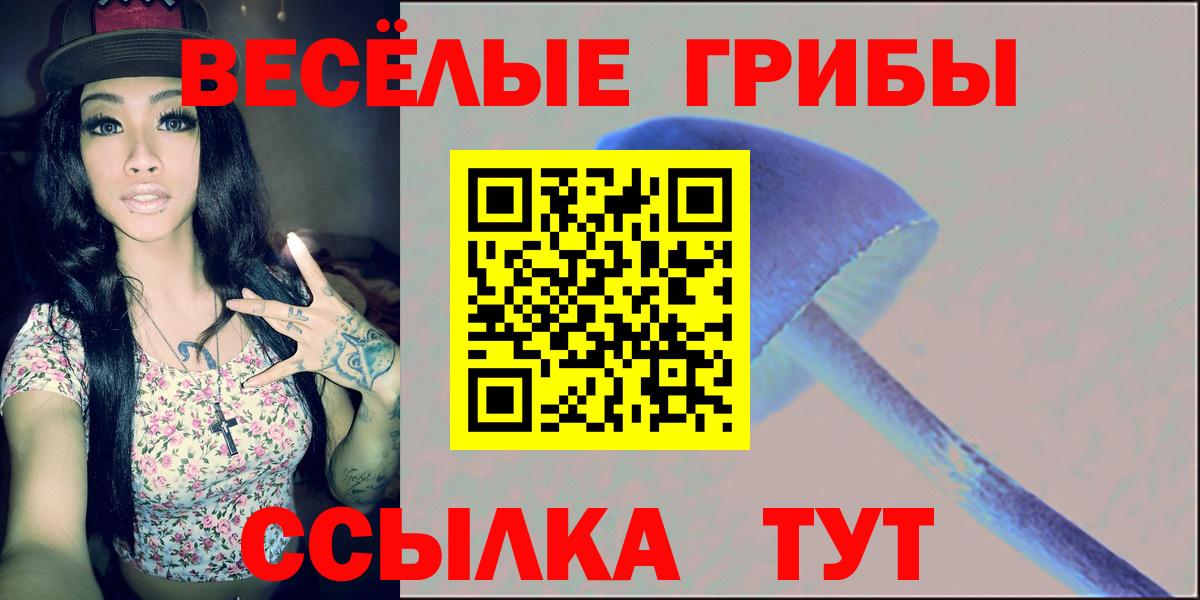 Псилоцибиновые грибы MAGIC MUSHROOMS  Вход с VPN  Богородицк  Галлюциногенные грибы ЛСД 